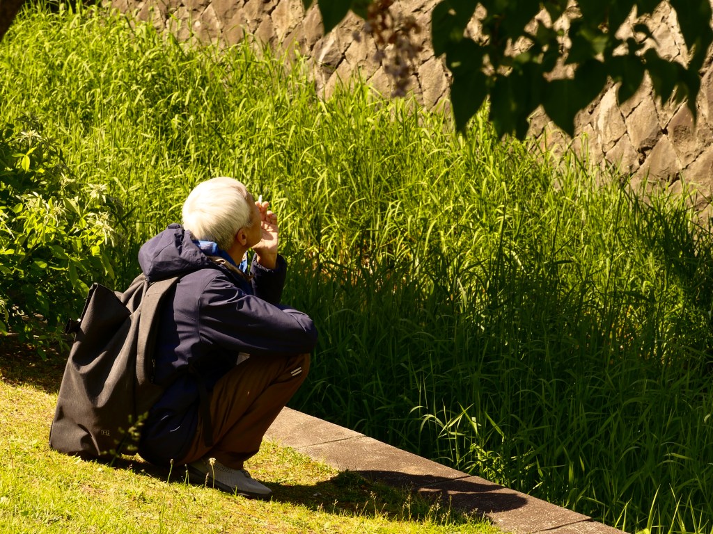 Exploring Botanical Gardens and the Sōsei River in the City